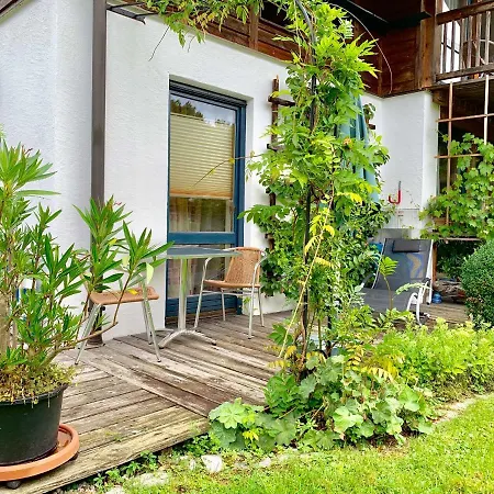 Riesinger * 弗拉斯多夫